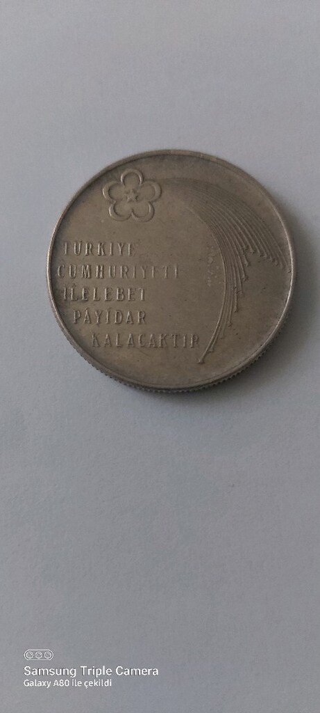 CUMHURİYETİN 50.YILINA ÖZEL12 GRAM GÜMÜŞ HATIRA PARA - 5