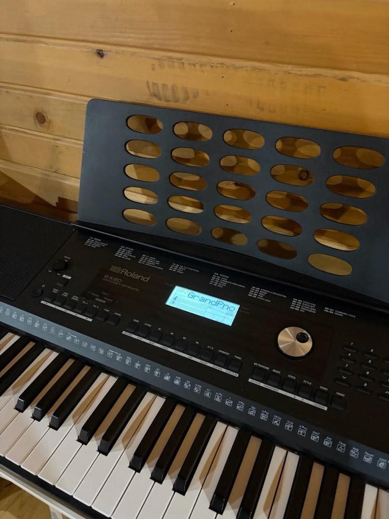 Roland Ex-20 Org Tuş Hassasiyetli Sıfır - 6