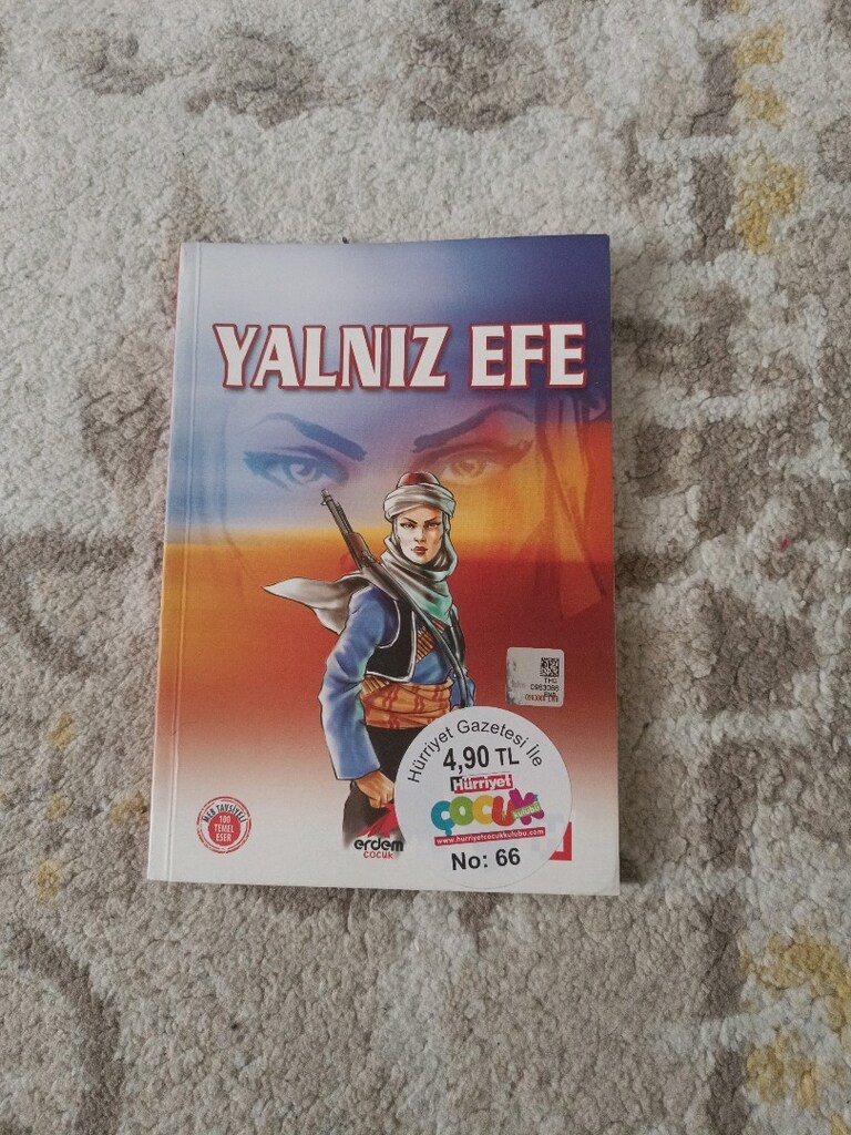 Yalnız Efe Çocuk Romanı - 2