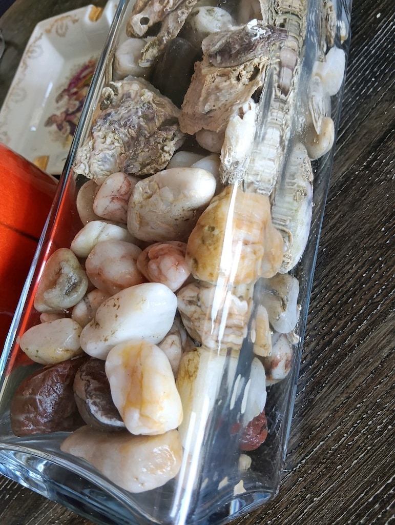 feansız büyük cam ve içi dolu deniz kabuğu ve taşları. marıne dekor - 9