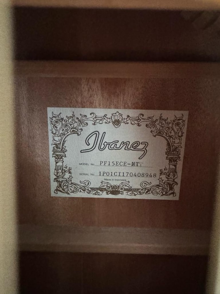 ibanez akustik gitar - 3