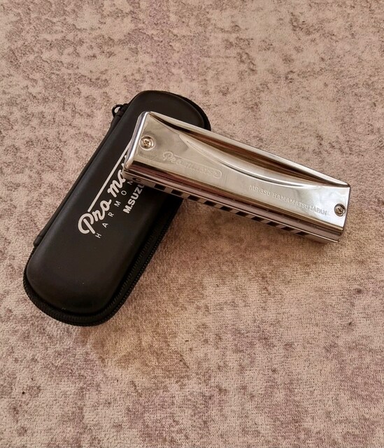Suzuki Pro Master mızıka