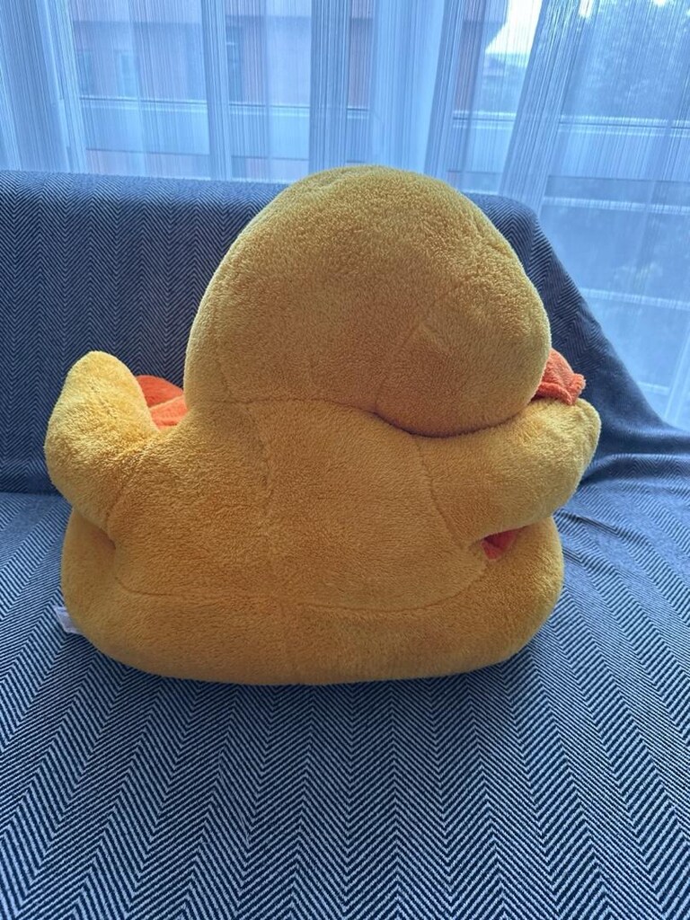 Hayvan / Ördek figürlü bebek / çocuk koltuğu Minder - 6
