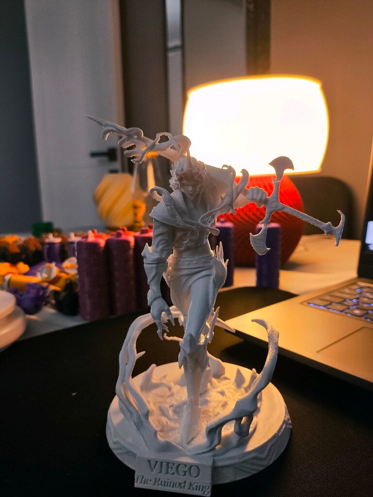 LOL VİEGO 3D baskı - 2