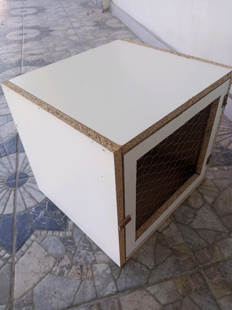 es hane salma kafes - 2