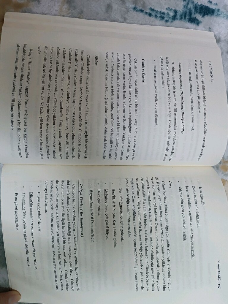 Türk Dili Kitabı - 8