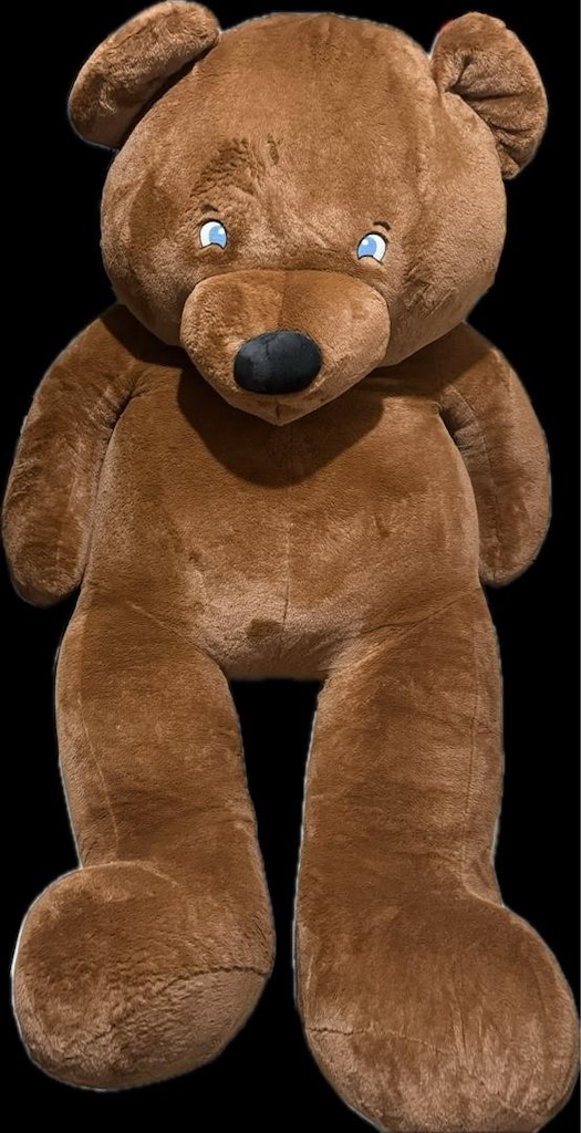 Peluş ayı