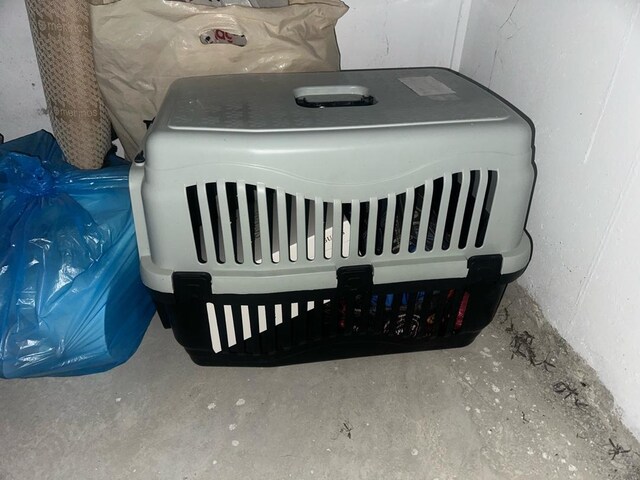 köpek taşıma cantası