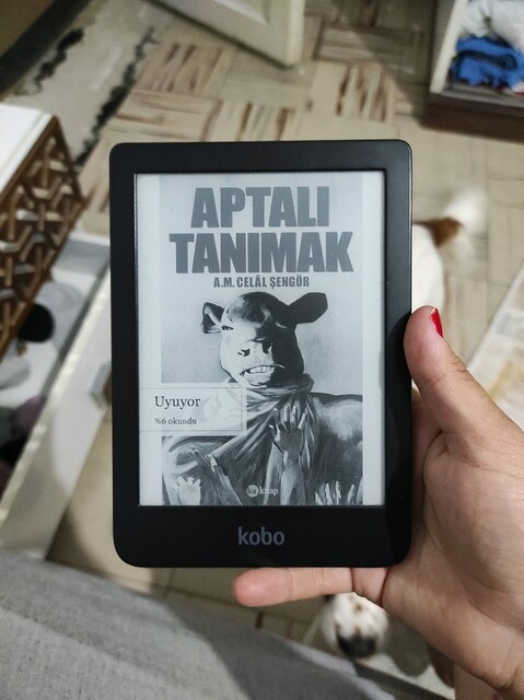 Kobo e kitap okuyucu