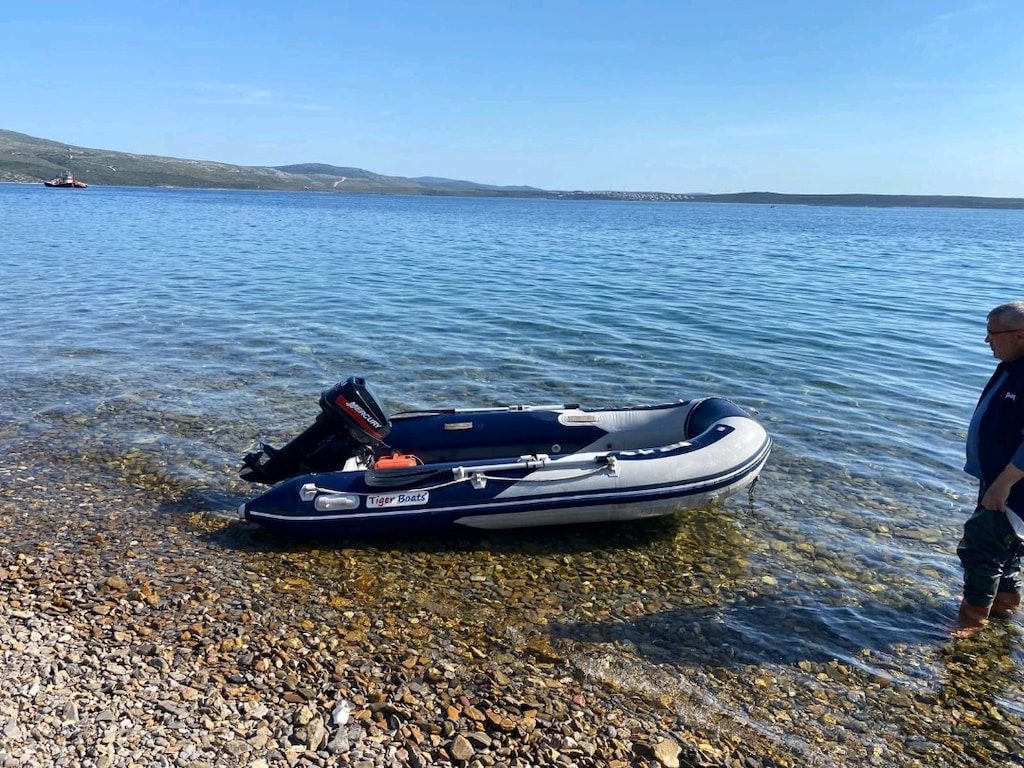 Tiger Boat 9.9 Mercury Motor