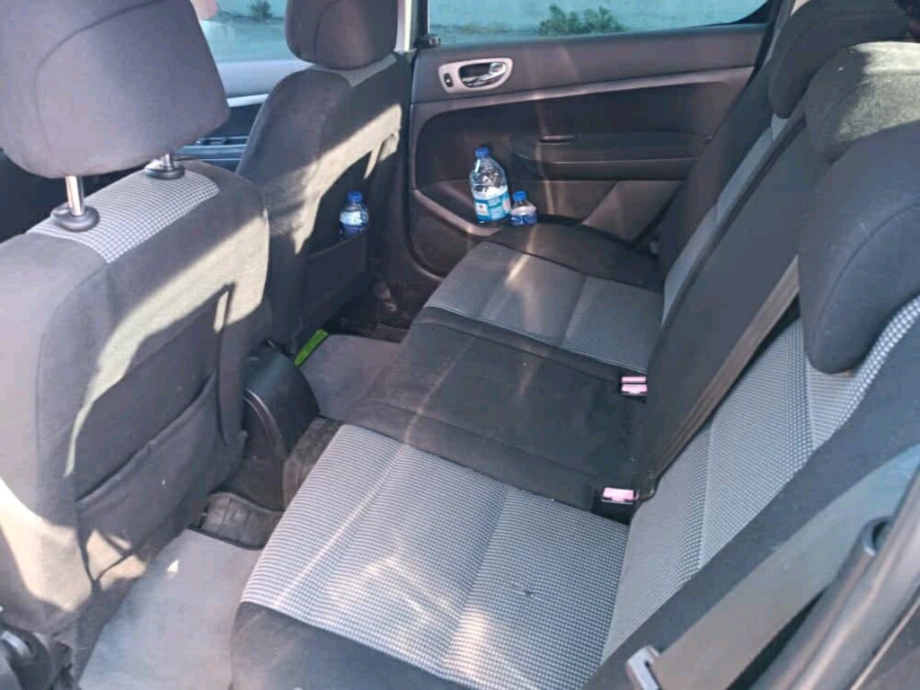 pegout 307 - 4