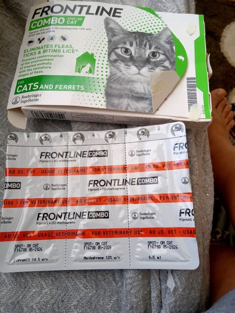 kedi iç dış parazit pire ense damlası front