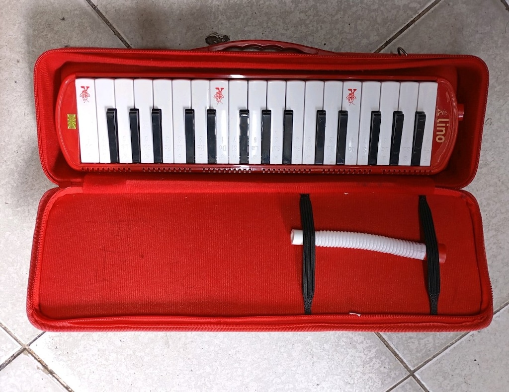 Kırmızı kılıflı bu taşınabilir melodika, beyaz ve siyah tuşlarıyla sad - 3