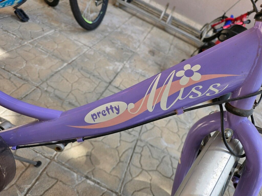 Bianchi Marka Bisiklet - 3
