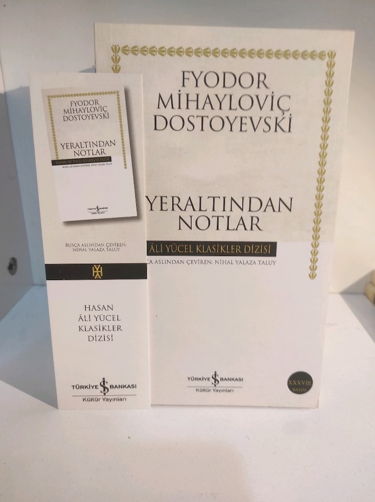 Hasan Ali Yücel Klasikleri 9 kitap - 6