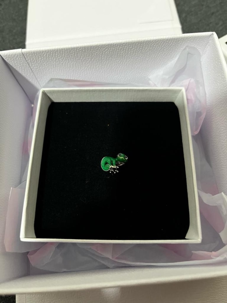 pandora charm