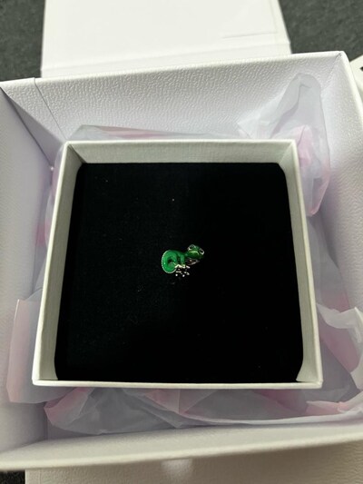 pandora charm