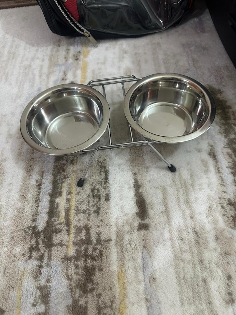 Kedi Taşıma Çantası + Taşıma Kafesi + Kapalı+Yatak+Tuvalet Seti - 4