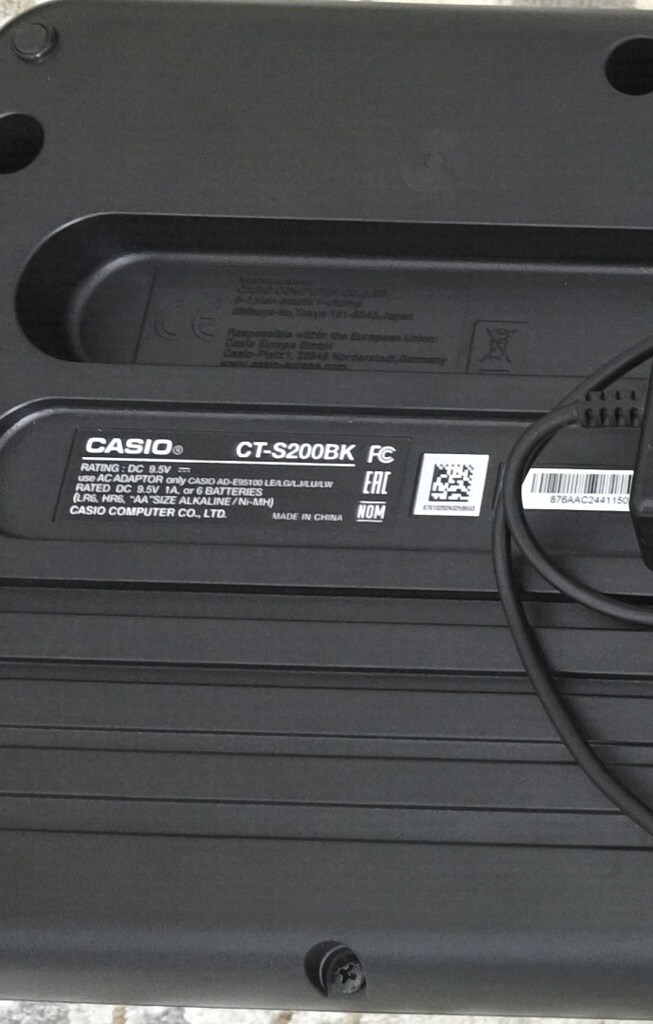Casio Org - 10