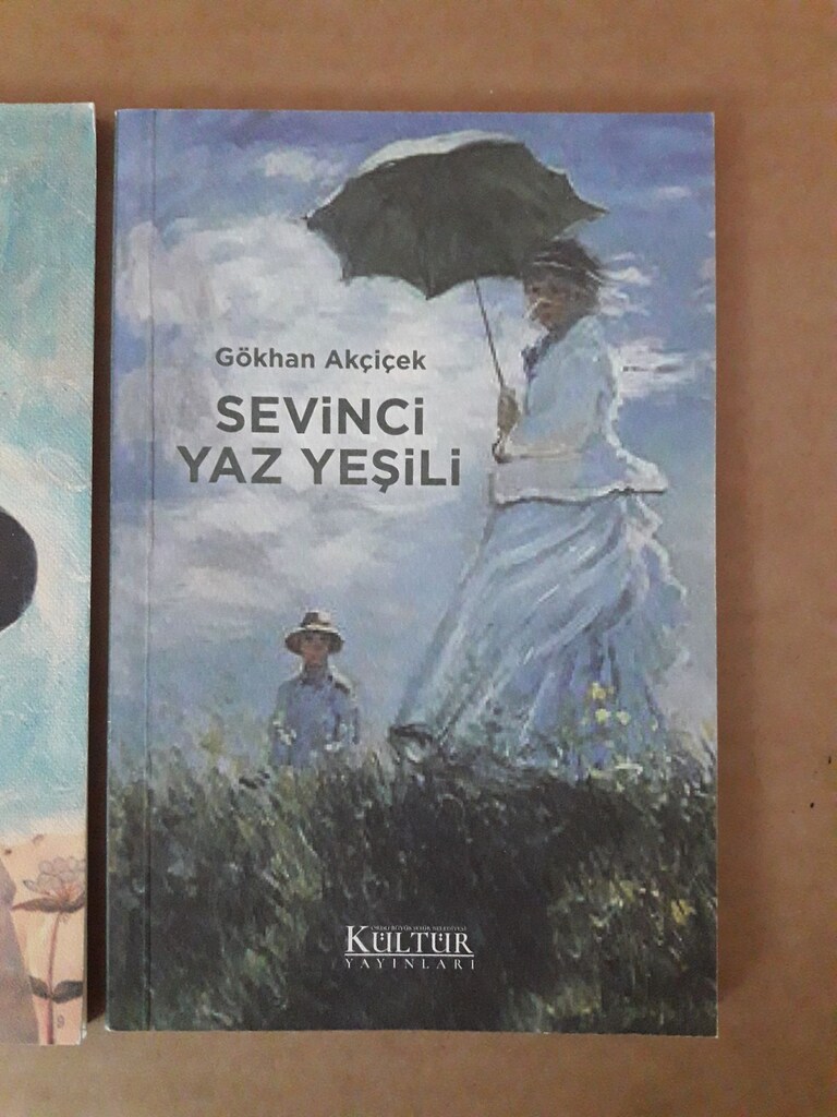 şiir kitapları Gökhan Akçiçek - 3