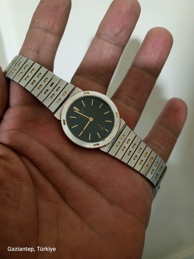 citizen ouartz japan yaprak kasa - 5