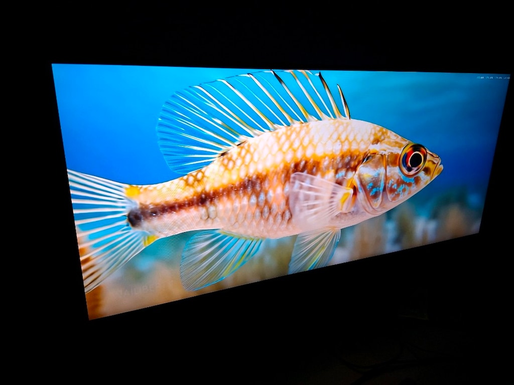 msi 40" mag401qr - 5
