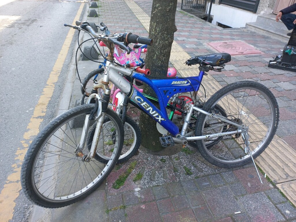 26 cant bisiklet - 2