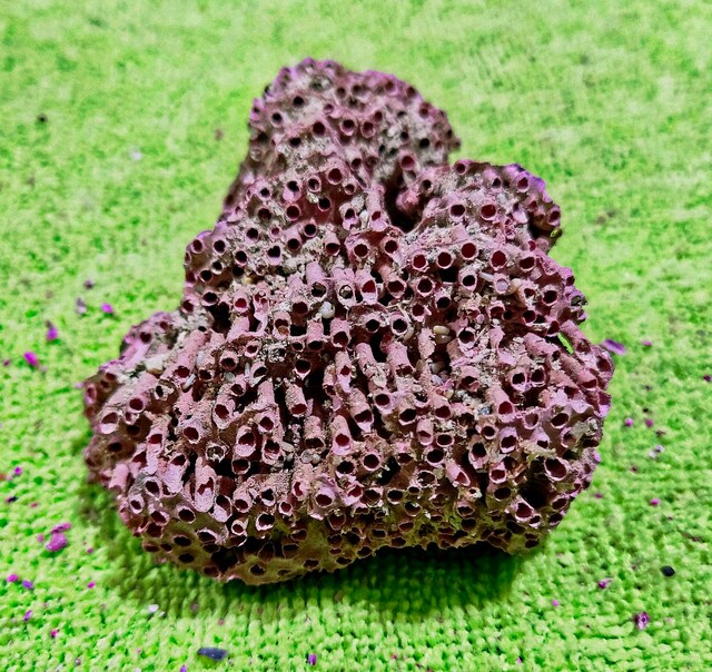 HAKİKİ DOĞAL KIRMIZI MERCAN 44 GR.