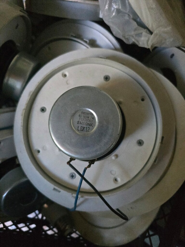 asma tavan aporloru tane 100 tl olur - 2