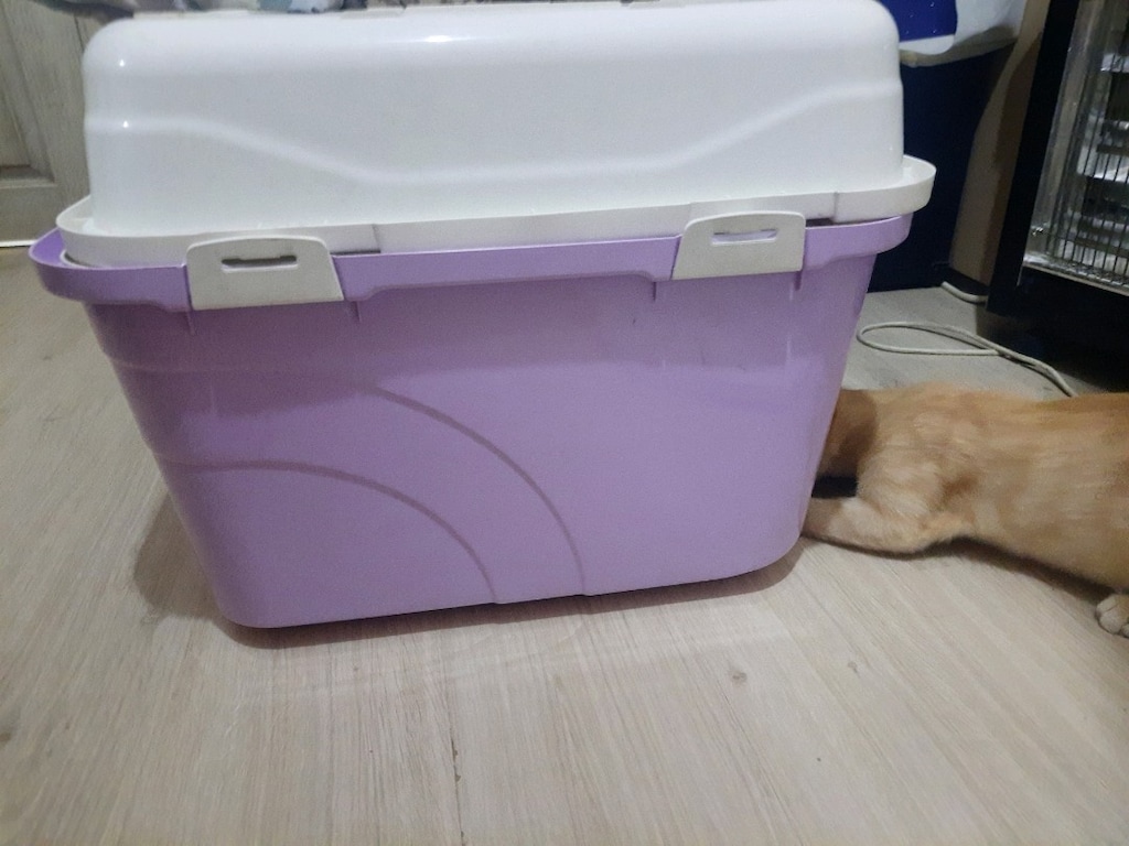 kapalı kedi tuvaleti - 6