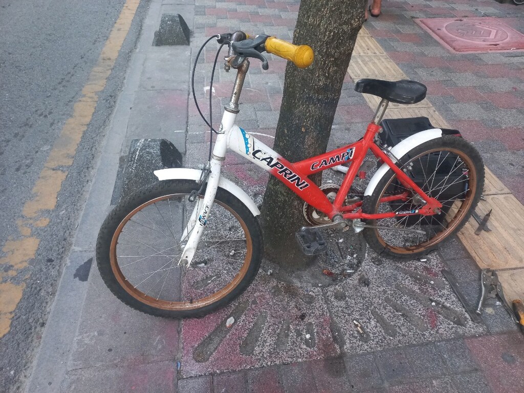 20 cant çocuk bisikleti - 3