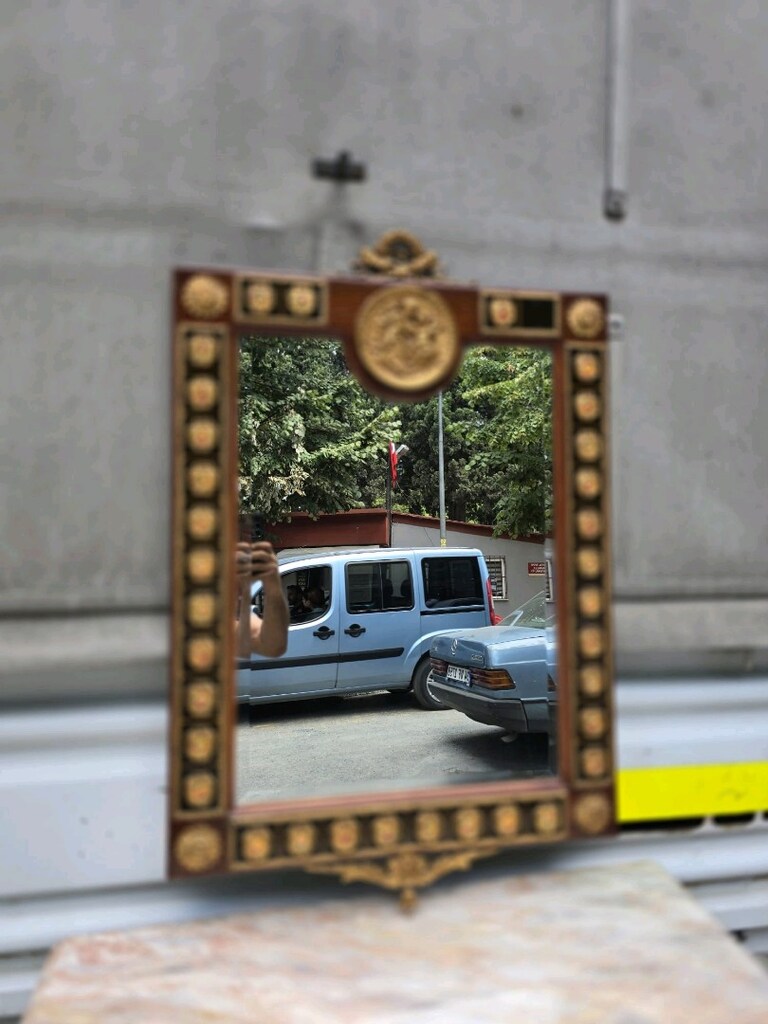 Fransız Bahü - 7