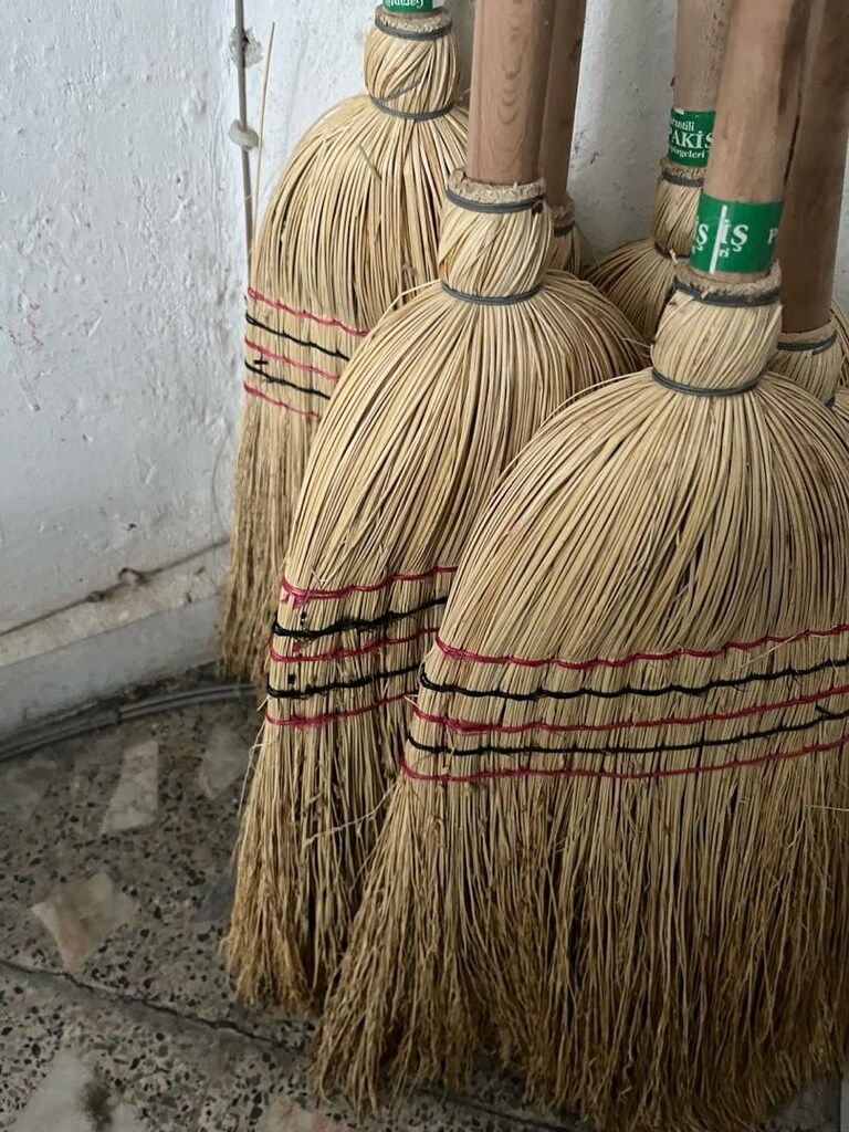 Saplı Çalı Süpürge - 4