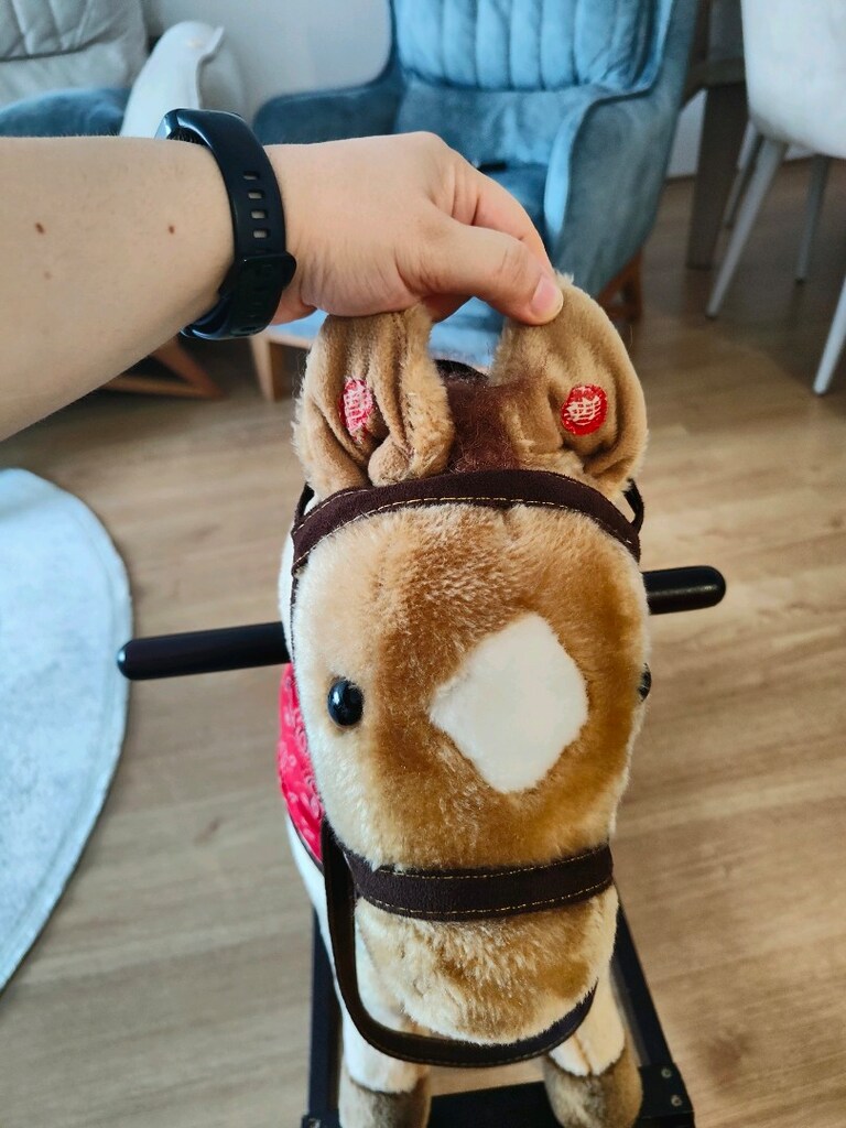 Sesli iki kulağıda sorunsuz çalışan sallanan at - 4