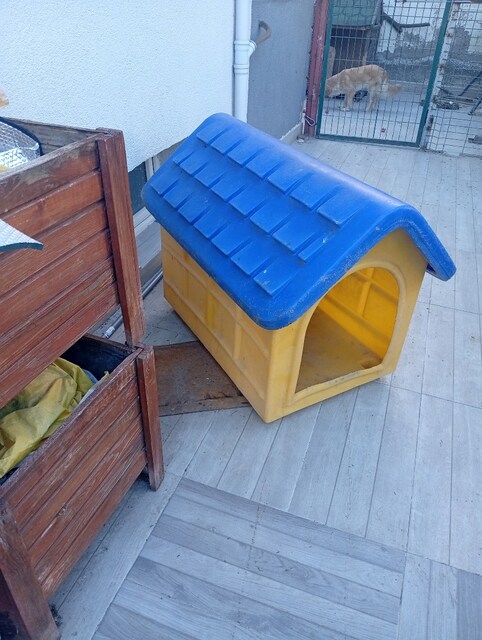 köpek kulübesi