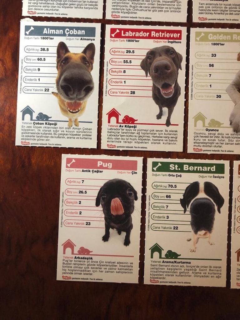 Top Trumps Hasbro Köpekler Kartları - 4