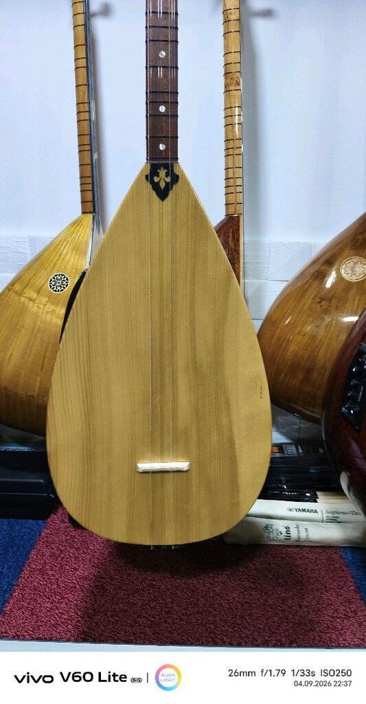 KISA SAP RİTİMLİ FİSHMANLİ SAZ BAĞLAMA - 3