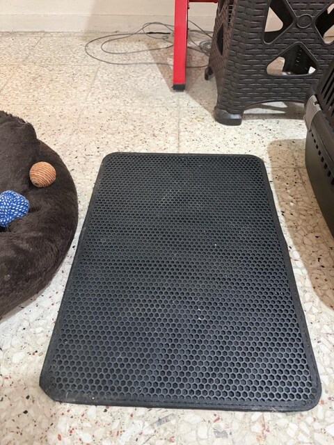Kedi Eşyaları