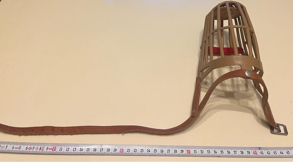 köpek ağızlık burunluk tasması - 6