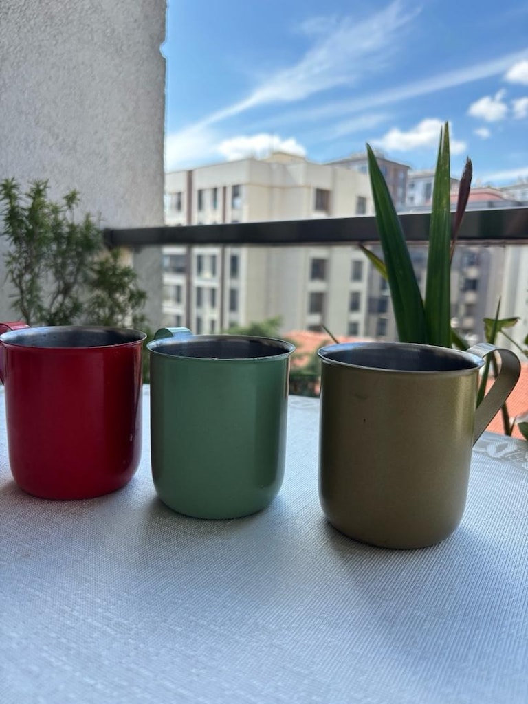 4 Adet 330 ML Paslanmaz Çelik Bardak