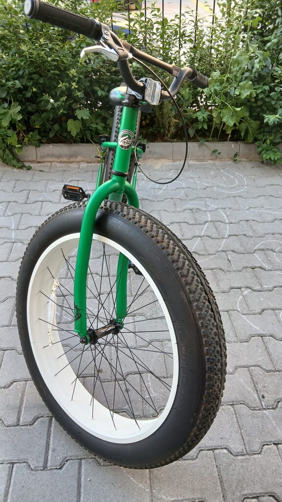 Mongoose Beast - 4