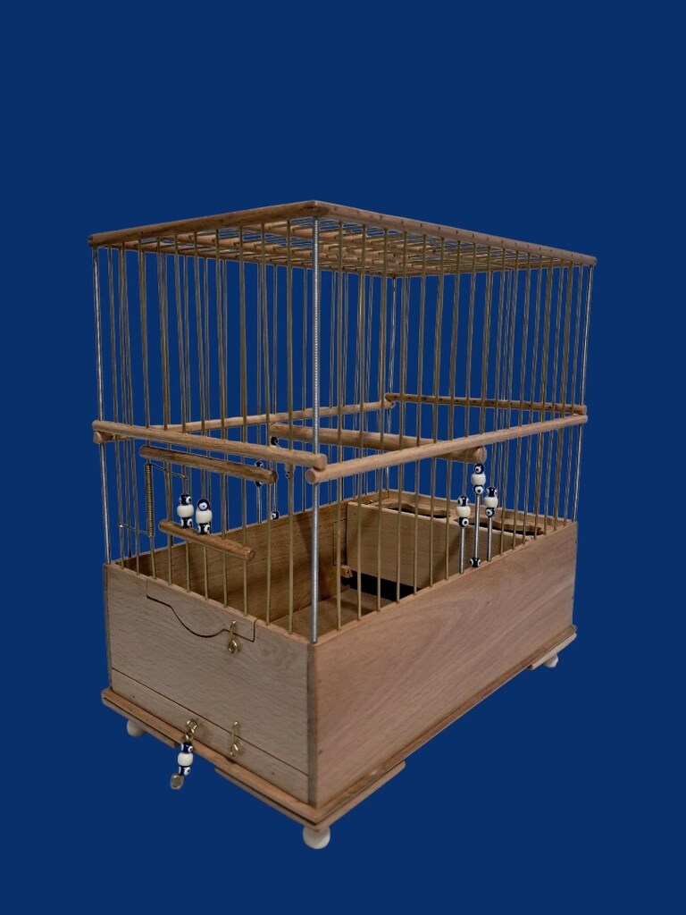 Kayın agacı saka kafesi - 5