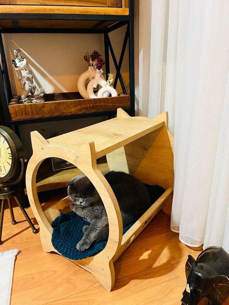 kedi tırmalama tahtası - 15