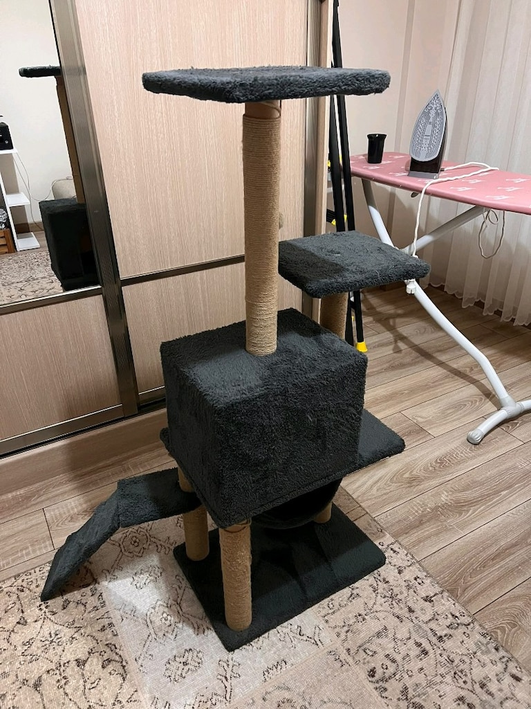 Kedi evi - 9
