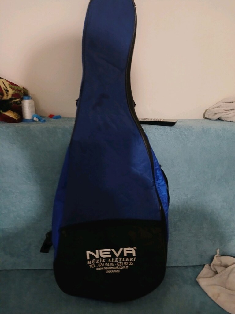 gitar kılıfı twmız - 2