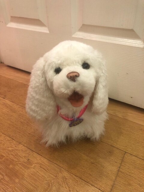 #frf köpek oyuncak#hasbro