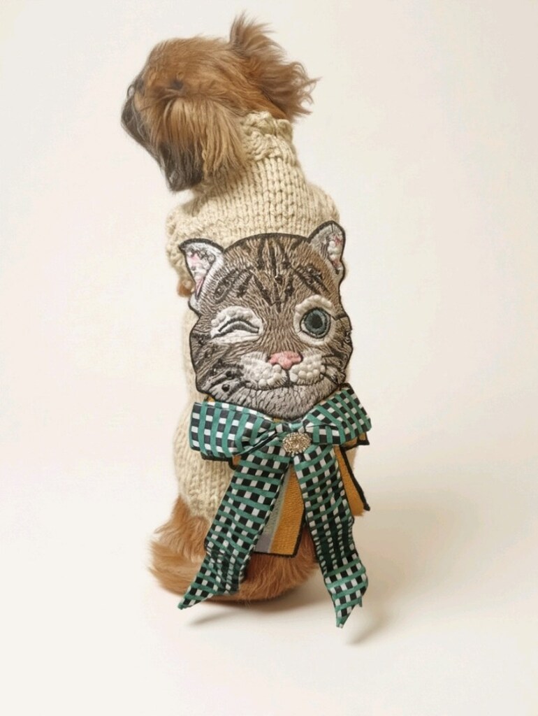 kedi köpek kazak - 5