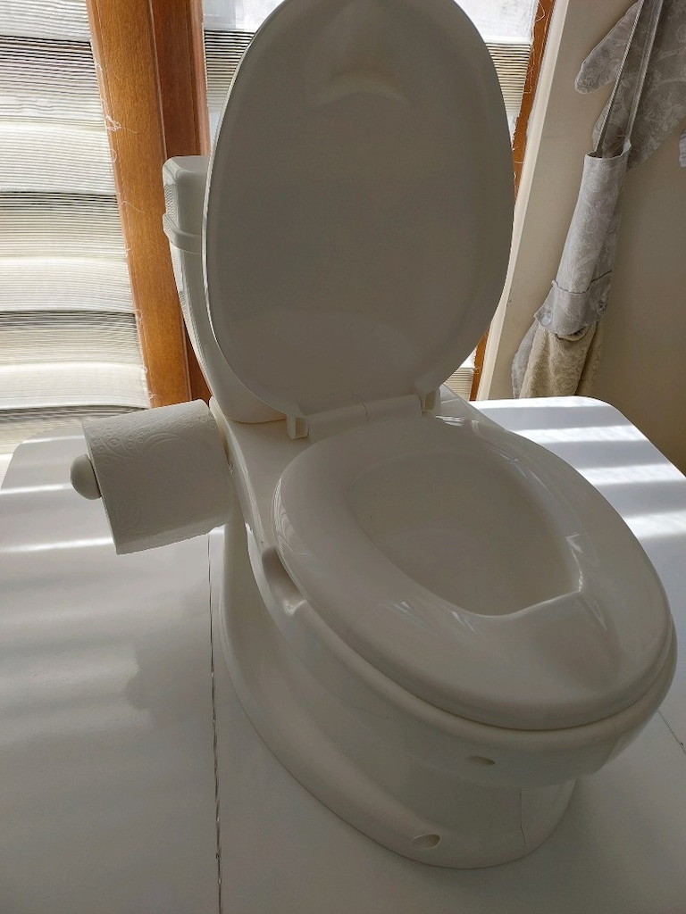 Dolu Eğitici Lazımlık Tuvalet - 2