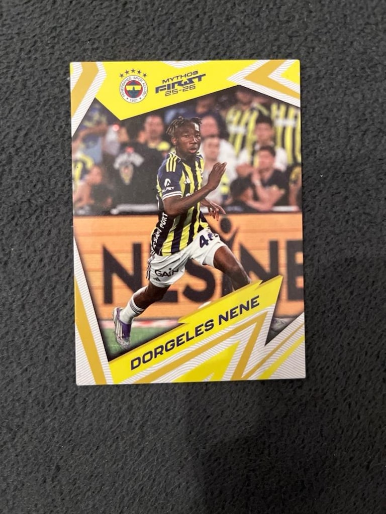 FENERBAHÇE FUTBOLCU KARTI - 2