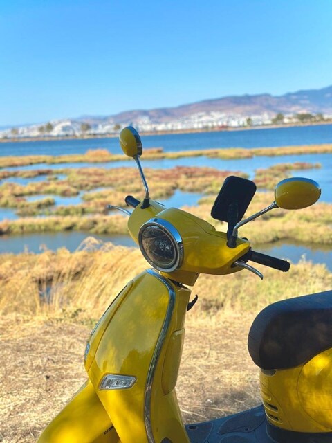 50cc brillant (80 cc)